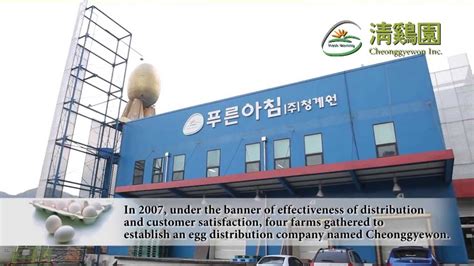 egg korea ppc company|Poultry and Egg Production Companies in Korea (South) .